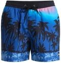 Quiksilver Herren Boardshorts