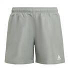 adidas Jungen Classic Badge of Sport Swim Shorts, silver green/white, 9-10 Years