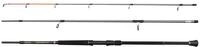 Penn Regiment IV Bass Spinnrute, Salzwasser Angler Angeln Seefisch Kabeljau, Aal,