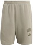 adidas Men's Collegiate Fleece Shorts, Silver Pebble/Olive strata, XL
