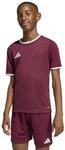 adidas Unisex Kids Entrada26 Kids Trikot