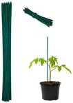 Relaxdays 100 x Pflanzenstab, Bambus, 60cm, &Oslash; 6mm, Anzuchtstab f&uuml;r Gem&uuml;se, Blumen