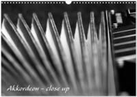Akkordeon - close up (Wandkalender 2026 DIN A3 quer), CALVENDO Monatskalender: