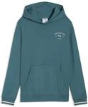 PUMA Jungen Class Graphic Hoodie 176, Emerald Ice Green