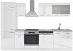 Vicco K&uuml;chenzeile R-Line, Wei&szlig; Hochglanz/Wei&szlig;, 300 cm