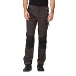 Regatta Herren-Wanderhose Questra V mit ISOFLEX+-Stretchmaterial, perfekt zum