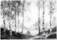 WallArena - Vlies Fototapete Wald Birken 350x250 cm - Fototapeten - Tapeten -...