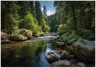 WallArena Vlies Fototapete - Wald - 350x250 cm - Fototapeten - Tapeten - f&uuml;r