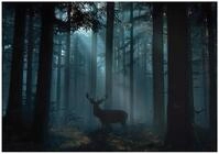 WallArena - Vlies Fototapete Wald 300x210 cm - Fototapeten - Tapeten - f&uuml;r