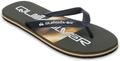 Quiksilver MOLOKAI STRIPE 26-43 - Braun