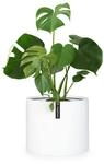 Fox&Fern &Uuml;bertopf XXL - Blumentopf Gross inkl Wasserabfluss - Blumentopf hoch...