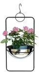 DanDiBo Blumenampel Innen Metall Wand H&auml;ngepflanzen 67 cm 96083 L mit Topf...