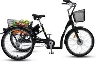 SachsenRAD E-Bike Cargo Lastenrad T3A 250W 36V,16AH|100Nm BAFANG Mittelmotor mit