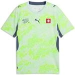 PUMA SFV Ausw&auml;rtstrikot Replica