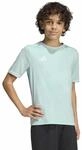 adidas Unisex Kinder Entrada26 Jersey Kids Shirt, Halo Mint/White, 13-14 Years