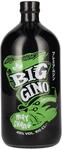 Big Gino Gin MAY CHANG 45% Vol. 1l