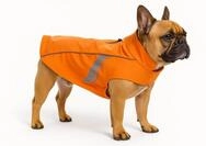 Regenmantel Hund - Pomi Orange - Gr&ouml;&szlig;e A:50cm B:38-46cm C:62-68cm - Polyester -