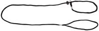 Kerbl Pet Vorf&uuml;hrleine schwarz, Nylon mit Halsung, 6mm x 125cm