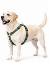 hundegeschirr - ziggi kaki H-Form - gr&ouml;&szlig;e L - 60-85 cm / 70-100 cm - 25 mm - Nylon