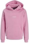 JACK & JONES Jjesoho Sweat Hood Noos Jnr