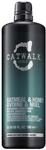 Tigi Catwalk Oatmeal und Honey Conditioner, 1er Pack (1 x 750 ml)