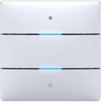 Theben 4969232 iON 102 KNX Tastsensor, Taster mit 2 Tasten und 2 Status-LEDs und