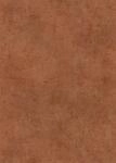 Erismann Vliestapete Elle Putzoptik Shabby Patina Effekt Orange Braun 10438-13