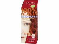 SANTE Naturkosmetik Pflanzen-Haarfarbe Pulver, Naturrot, 100 g (1er Pack)