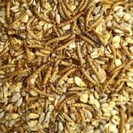 KLASEBO Deluxe Vogelfutter Wildv&ouml;gel 20 kg Schalenlos &ndash; Ganzj&auml;hriges...