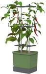 GUSTA GARDEN Charly Chili Chilitopf - Pflanzentopf mit Rankhilfe,...