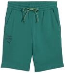 PUMA Herren x Aston Martin ARAMCO F1&reg; Team Essentials Shorts L, Green Lux