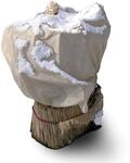 NOOR Wintervlies 1,5 x 5 m 30gr/m&sup2;I Winterschutz Vlieshaube I Frostschutzhaube...