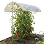 bellissa &ndash; Tomatendach h&ouml;henverstellbar von 125-185 cm Aluminiumgewebe -