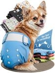HUND IST K&Ouml;NIG Hundewindeln f&uuml;r H&uuml;ndinnen (3 St&uuml;ck) - Hochabsorbierende