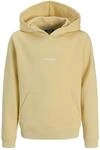 JACK & JONES Jjesoho Sweat Hood Noos Jnr