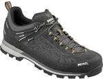 Meindl Herren Literock Free GTX Schuhe, Granit-mais, 41.5