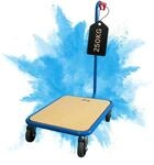 PROREGAL Profi Griffroller | HxBxT 96x50x60 cm | Traglast 250kg | 2X Lenkrollen...