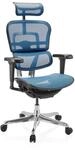 hjh OFFICE B&uuml;rostuhl ergonomisch ERGOHUMAN Ultra GEN2 Originales Design, B&uuml;rosessel