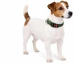 Halsband Hund - ziggi kaki - gr&ouml;&szlig;e S - 30-45 cm x 15 mm - Nylon hundehalsband