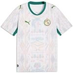 PUMA FSF Home Jersey Replica