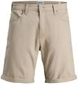JACK & JONES Male Shorts Regular Fit Shorts