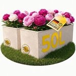 Ondis24 2X Pflanzk&uuml;bel Vulkano, je 50L Pflanzvolumen, rechteckig, Blumenkasten...