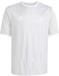 adidas Unisex Kinder Entrada26 Graphic Jersey Kids Shirt, Team Light Grey/White,