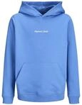 JACK & JONES Jornorrebro Emb Sweat Hood Noos Jnr