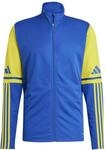 adidas Herren Squadra25 Training Sweatshirt, Team royal Blue/Team Yellow, S