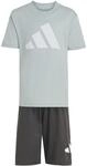 adidas Unisex Kids ESSENTIALS T-SHIRT SET, Wonder Sage/white, 4-5 Years