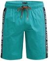 Camp David Herren Lange Badeshorts mit Logo-Tapes Island Green, XXL