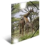 HERMA Sammelmappen A3 Giraffe Set, 3 St&uuml;ck, Kinder Eckspanner-Mappen aus Kunststoff