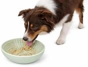 hundenapf - katzennapf - leckmatte Hund - Laslo rund - hellgr&uuml;n - &Oslash;16,5 cm -