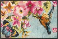 wash+Dry Fu&szlig;matte, Bloomibri 50x75cm, innen und au&szlig;en, waschbar, bunt